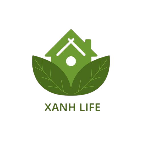 My Blog