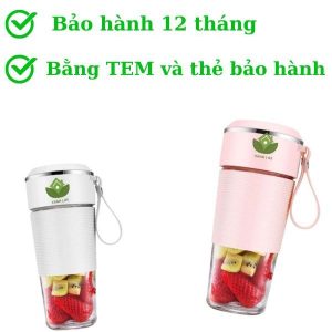 Máy xay sinh tố cầm tay mini đa năng